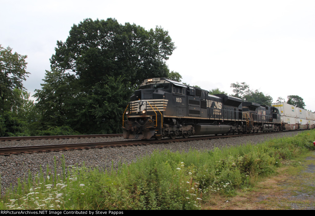 NS 1193 leads train 21G